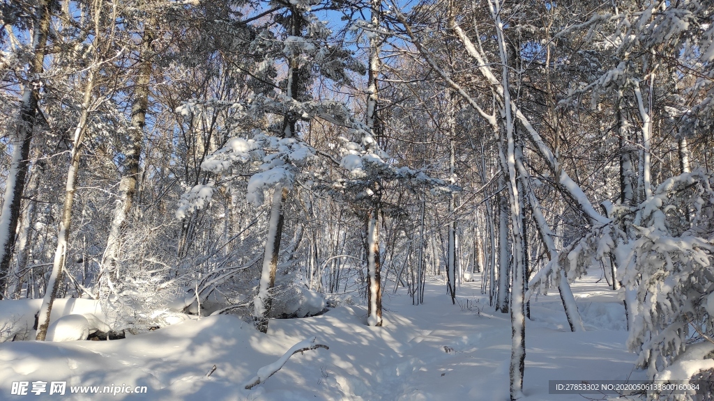 雪乡