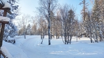 雪乡