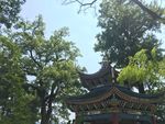 韶光南华寺风景