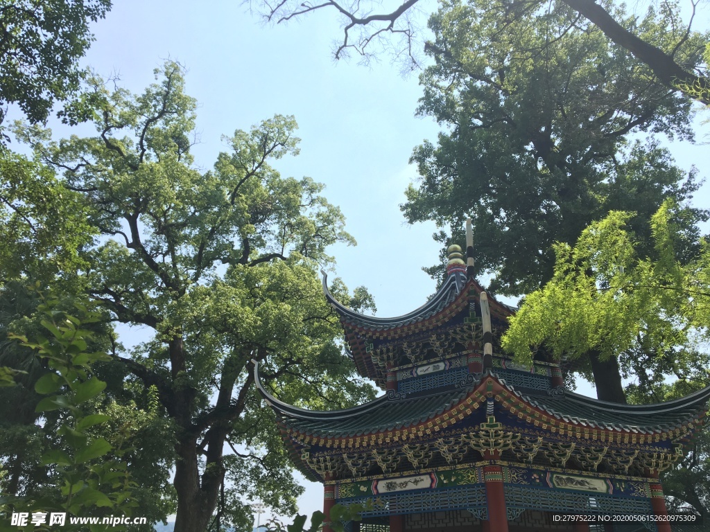 韶光南华寺风景