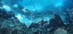 蓝色海洋背景