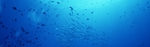 蓝色海洋背景