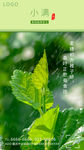 传统节气-小满