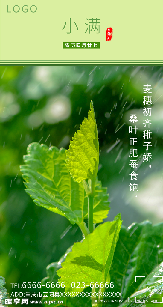 传统节气-小满