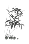 水墨竹子