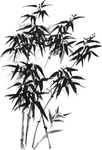 水墨竹子