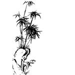 水墨竹子