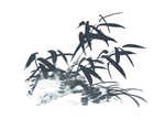 水墨竹子