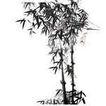 水墨竹子