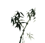 水墨竹子