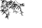 水墨竹子