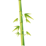 水墨竹子