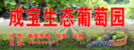 生太葡萄园广告招牌
