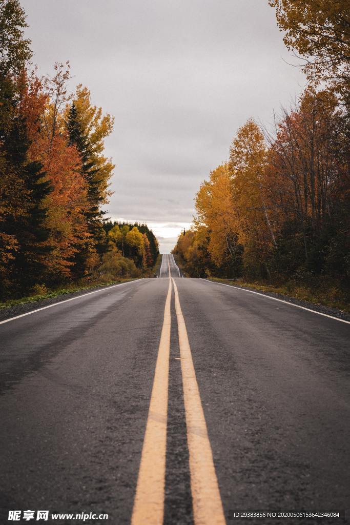 公路