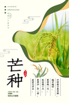 芒种海报