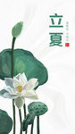 立夏朋友圈海报