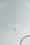 游乐园