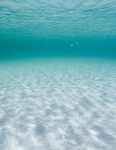海底
