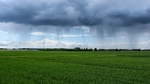 暴雨