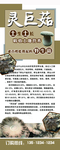 易拉宝 展架