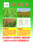 种业种子化肥农产品农业传单