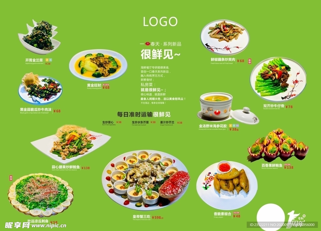 大展架