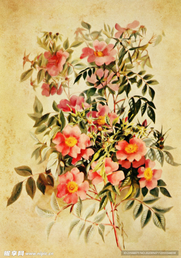 复古鲜花植物装饰画
