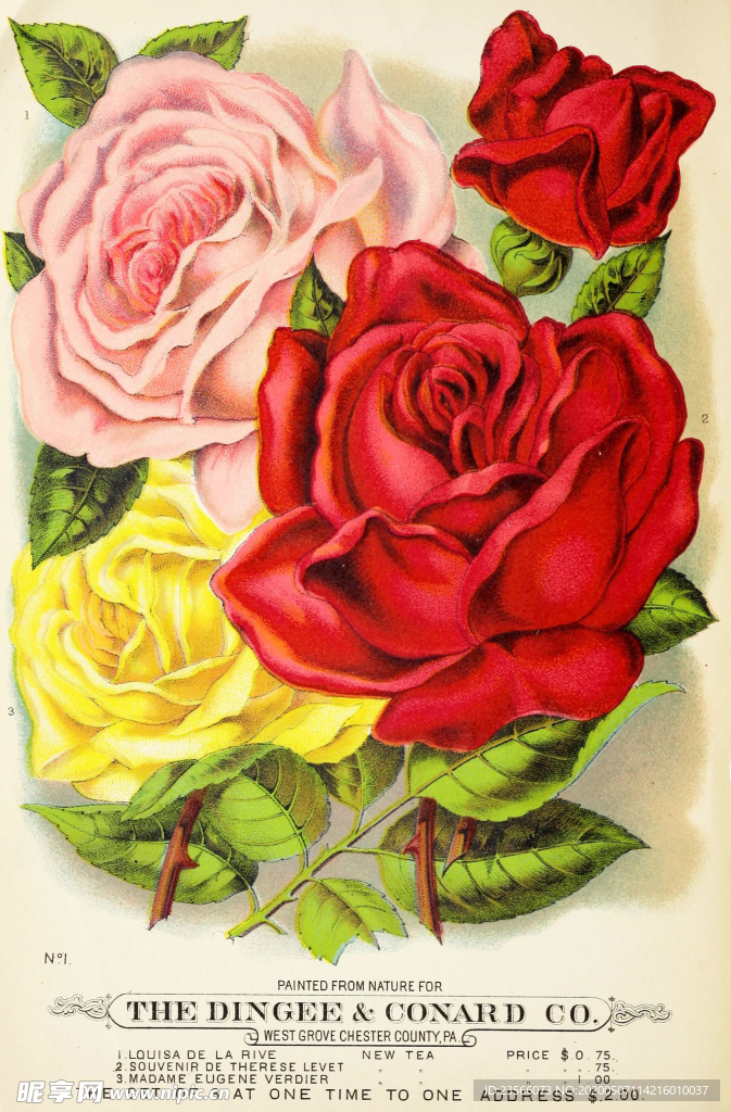 复古鲜花主题装饰海报