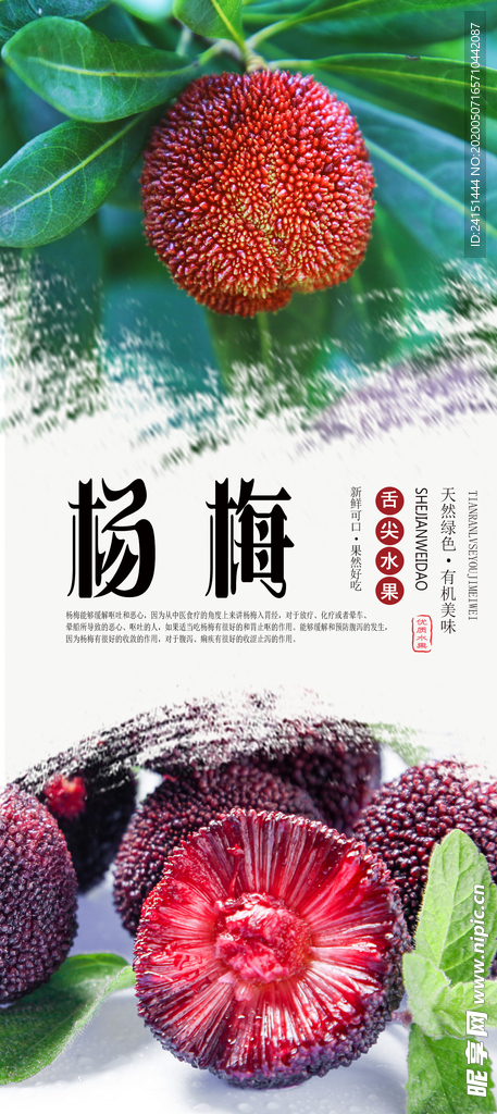 杨梅水果分层海报