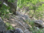 岩石