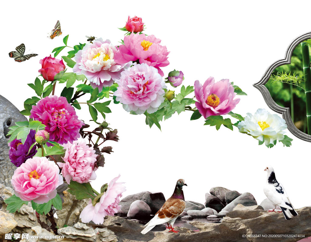 牡丹花