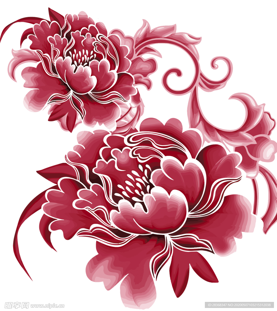 牡丹花
