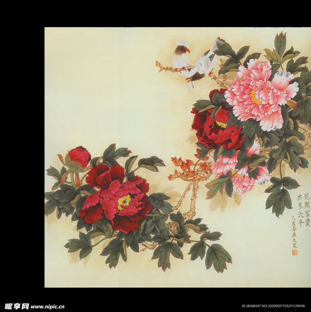 牡丹花