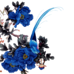 牡丹花