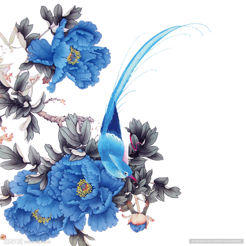 牡丹花