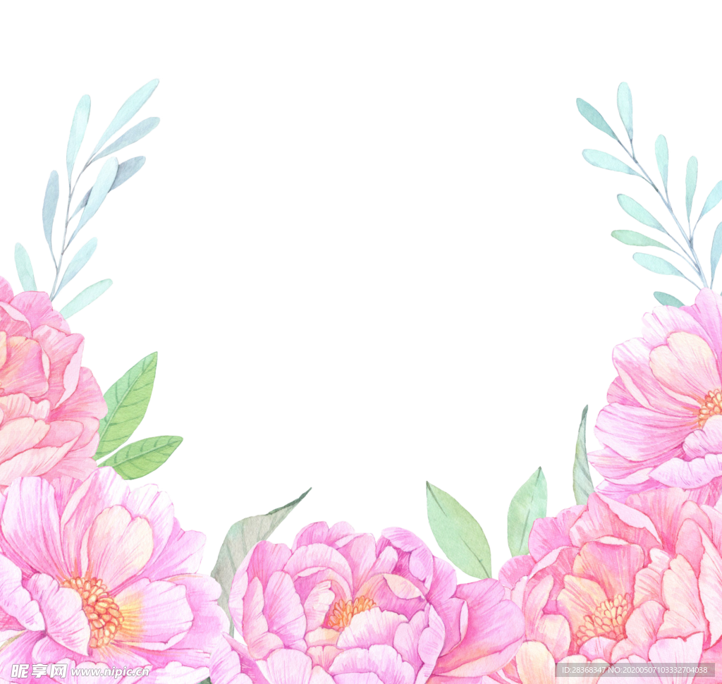 牡丹花