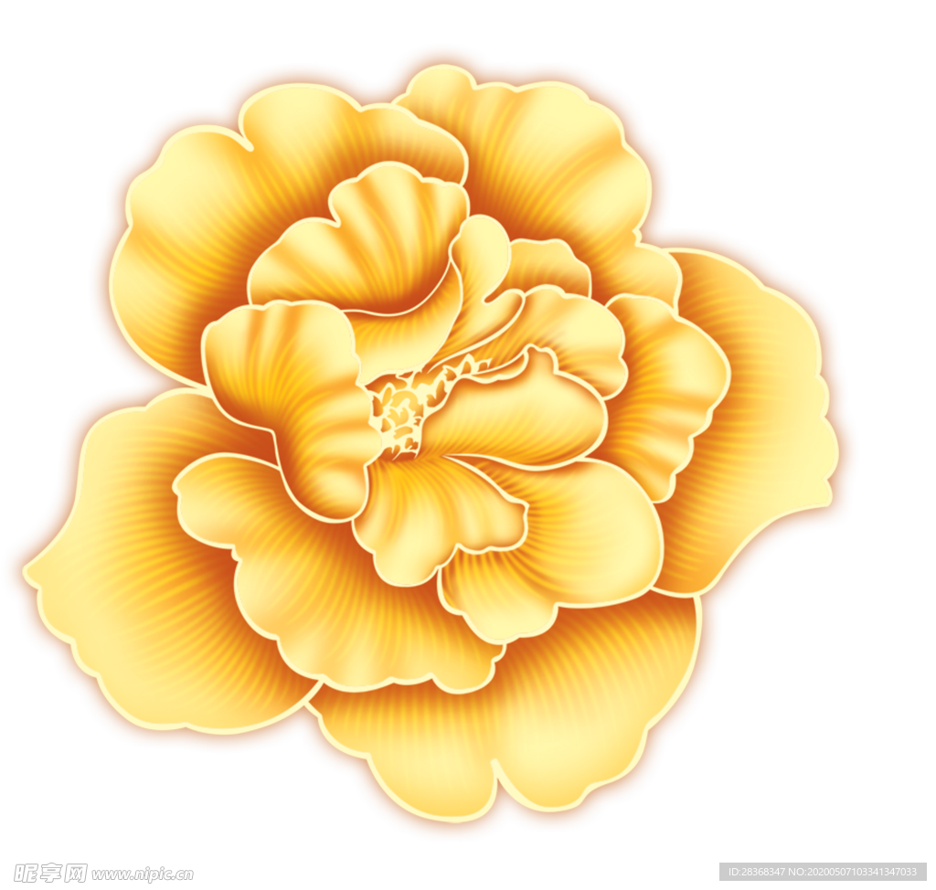 牡丹花