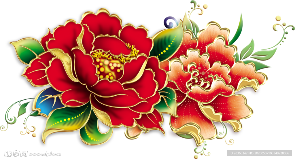 牡丹花