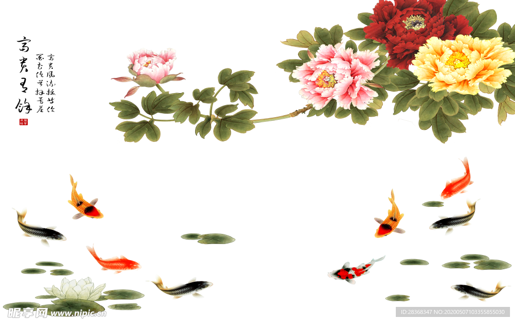 牡丹花