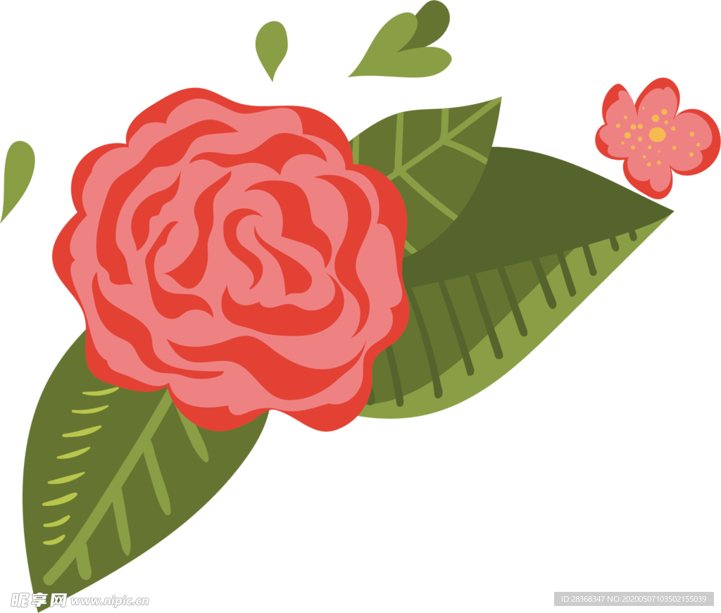 牡丹花