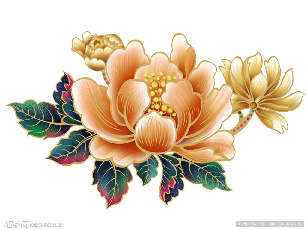 牡丹花