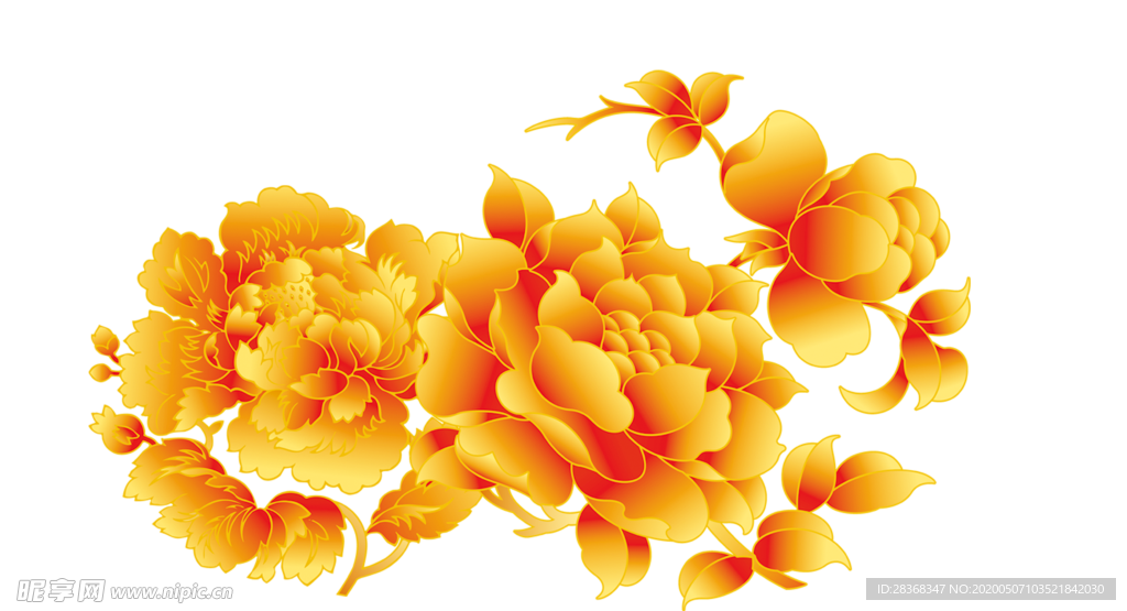牡丹花