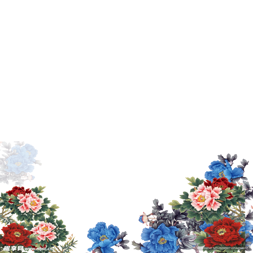 牡丹花