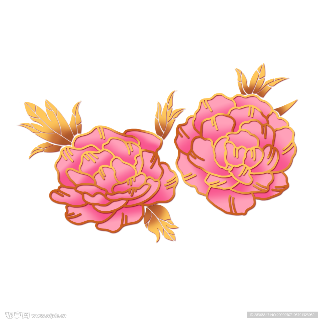 牡丹花