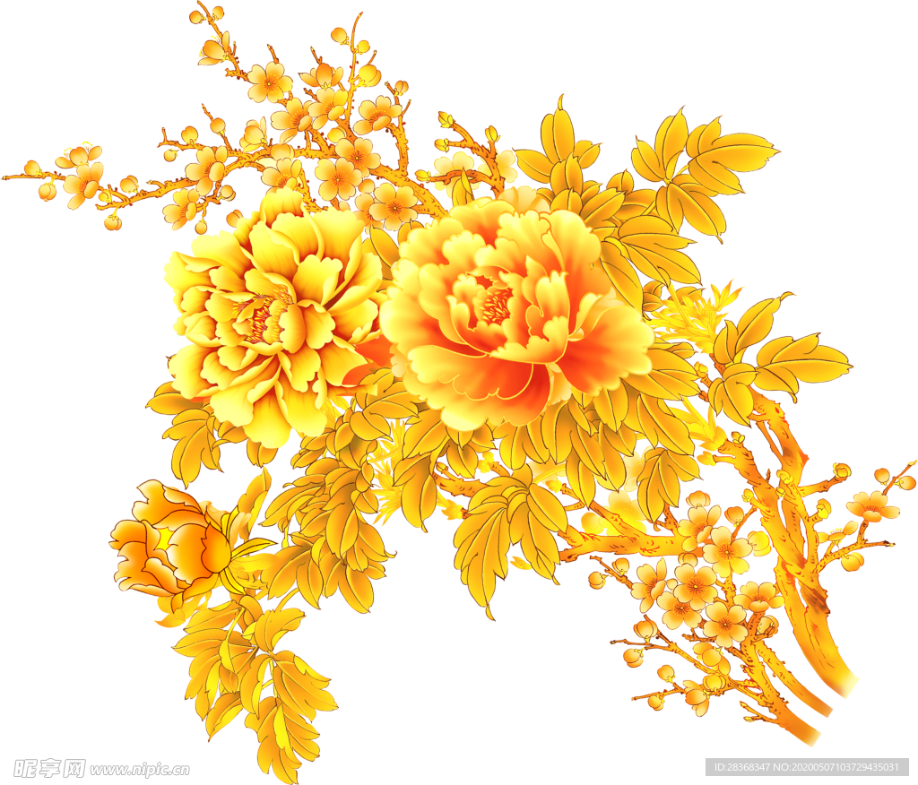 牡丹花
