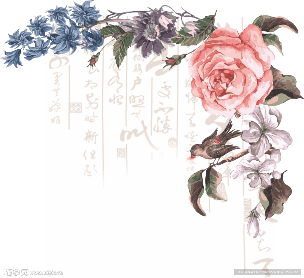 牡丹花
