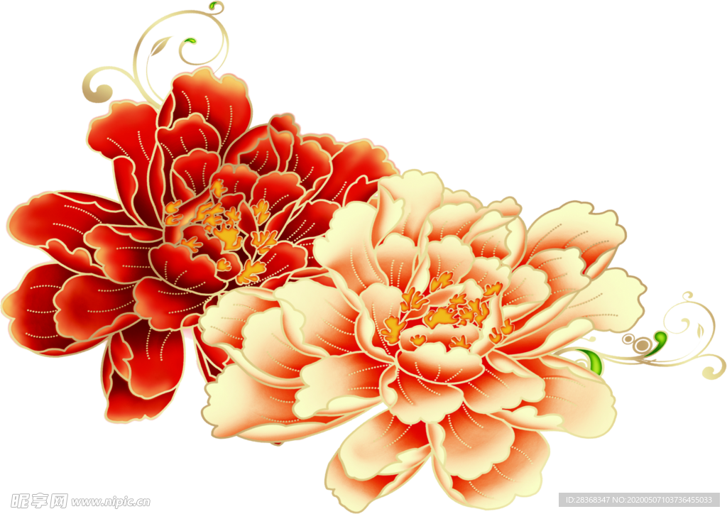 牡丹花