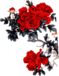 牡丹花