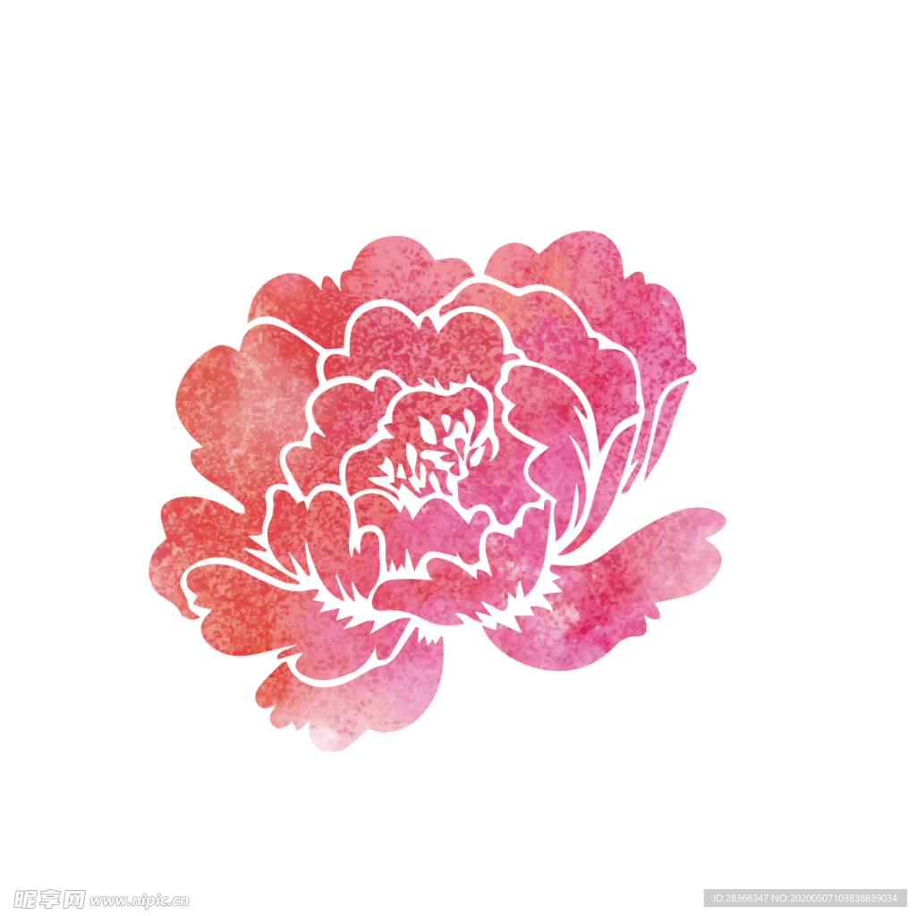 牡丹花
