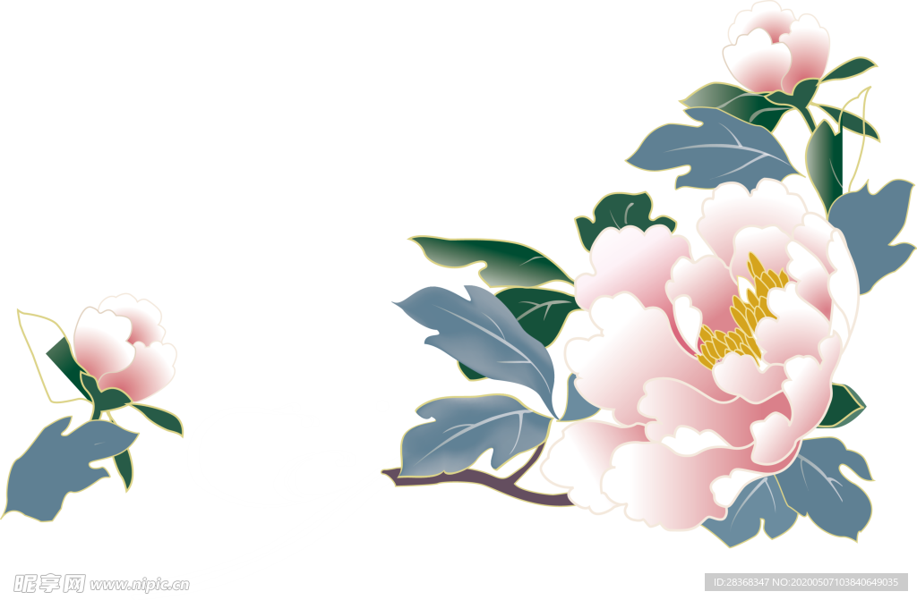 牡丹花